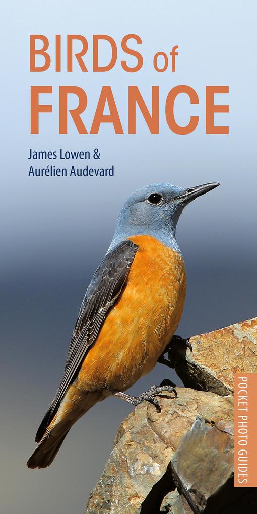 Produktbild: Birds of France | Aurélien Audevard, James Lowen