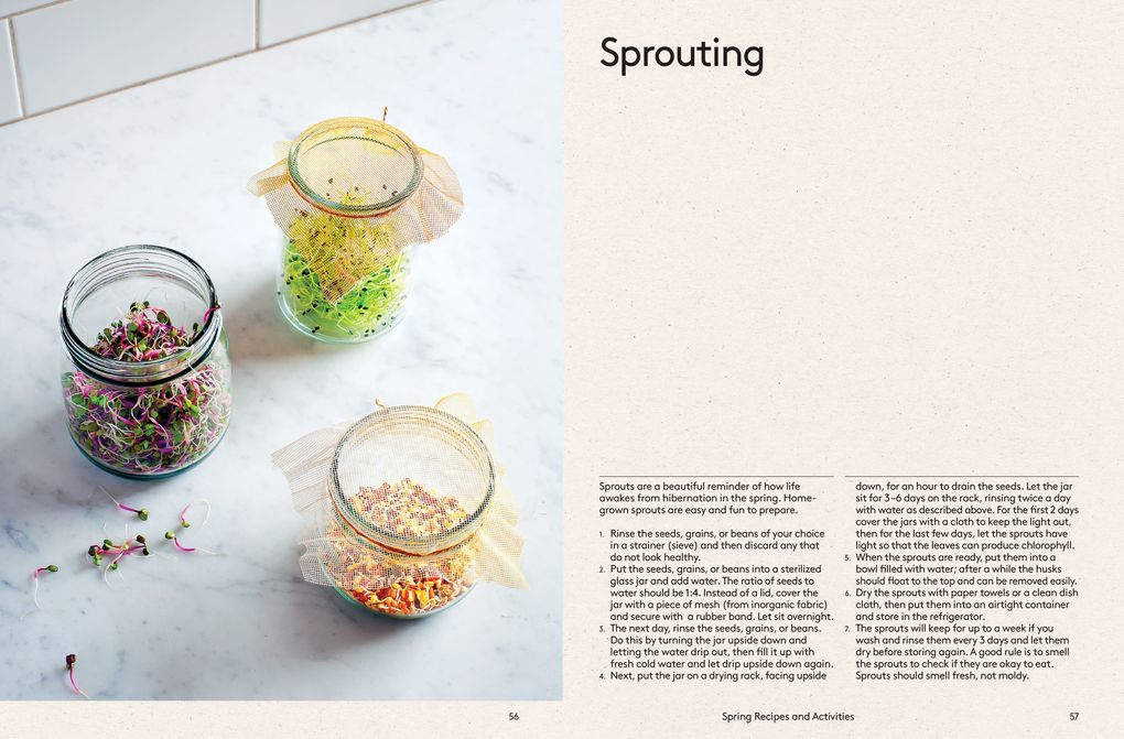 Weitere Ansicht: Raw | Solla Eiríksdóttir