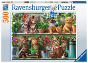 Katzen im Regal - Puzzle mit 500 Teilen