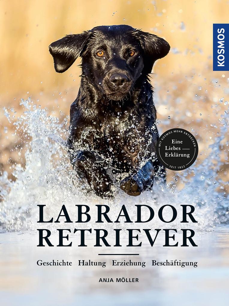 Produktbild: Labrador Retriever | Anja Möller