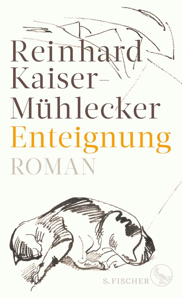 Produktbild: Enteignung | Reinhard Kaiser-Mühlecker