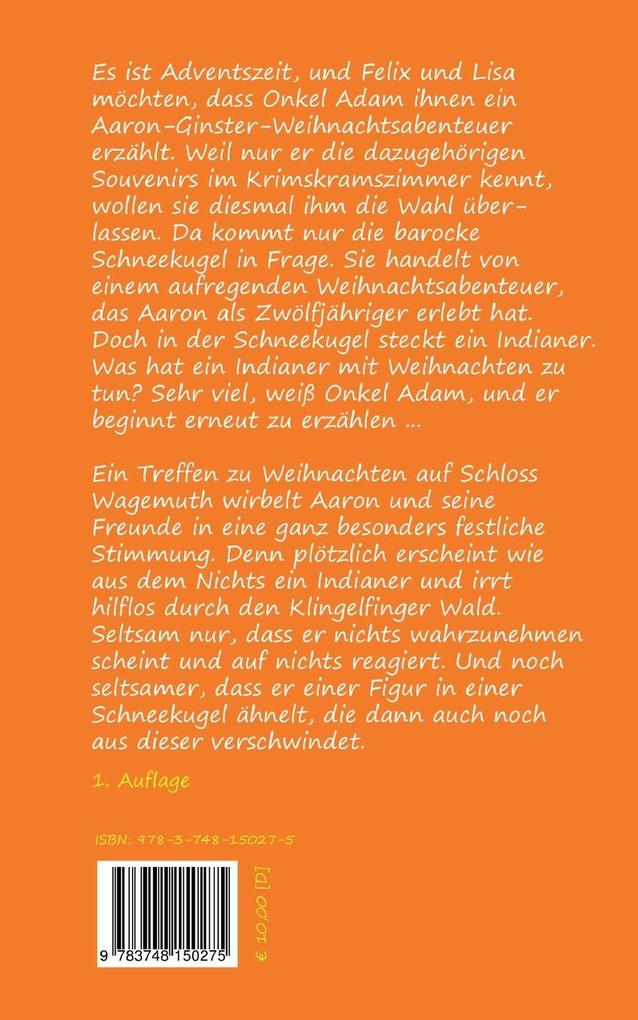 Weitere Ansicht: Der Indianer in der Schneekugel | Michael Schuster