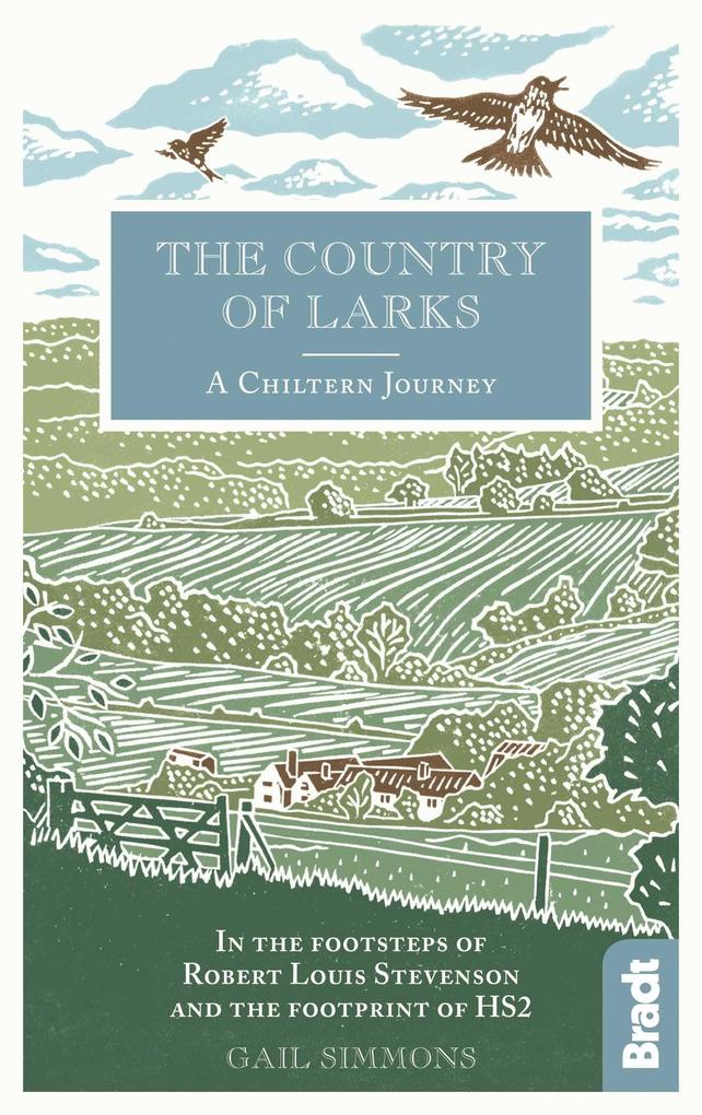 Produktbild: The Country of Larks | Gail Simmons