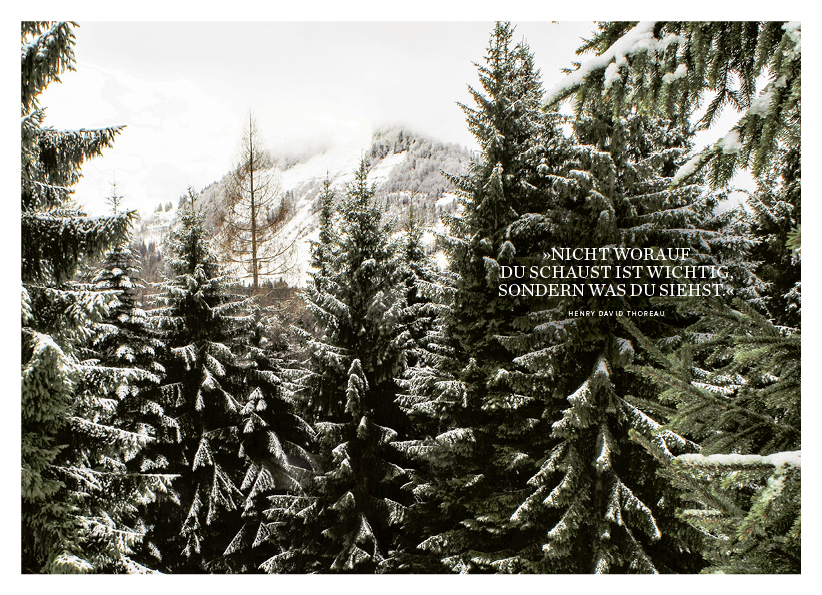 Weitere Ansicht: In der Natur zu Hause | Norbert Leitner