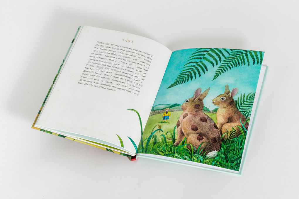 Weitere Ansicht: Der kleine Schmusehase | Margery Williams