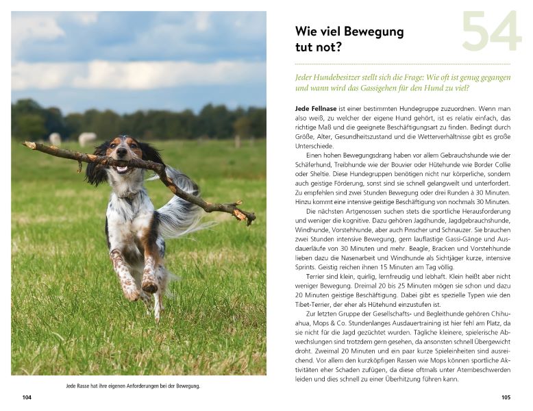 Weitere Ansicht: Berning, T: 99 x Wohnmobilurlaub mit Hund | Torsten Berning
