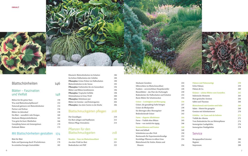 Weitere Ansicht: Ganzjährig attraktive Beete mit Blatt und Blüte | Ute Bauer, Wolfgang Hensel