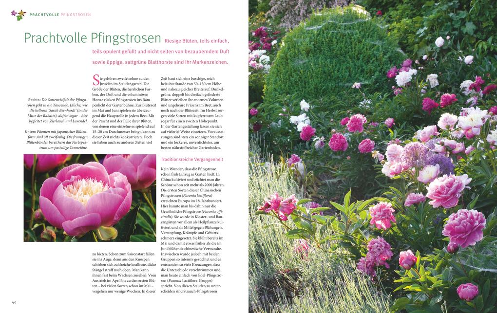 Weitere Ansicht: Ganzjährig attraktive Beete mit Blatt und Blüte | Ute Bauer, Wolfgang Hensel