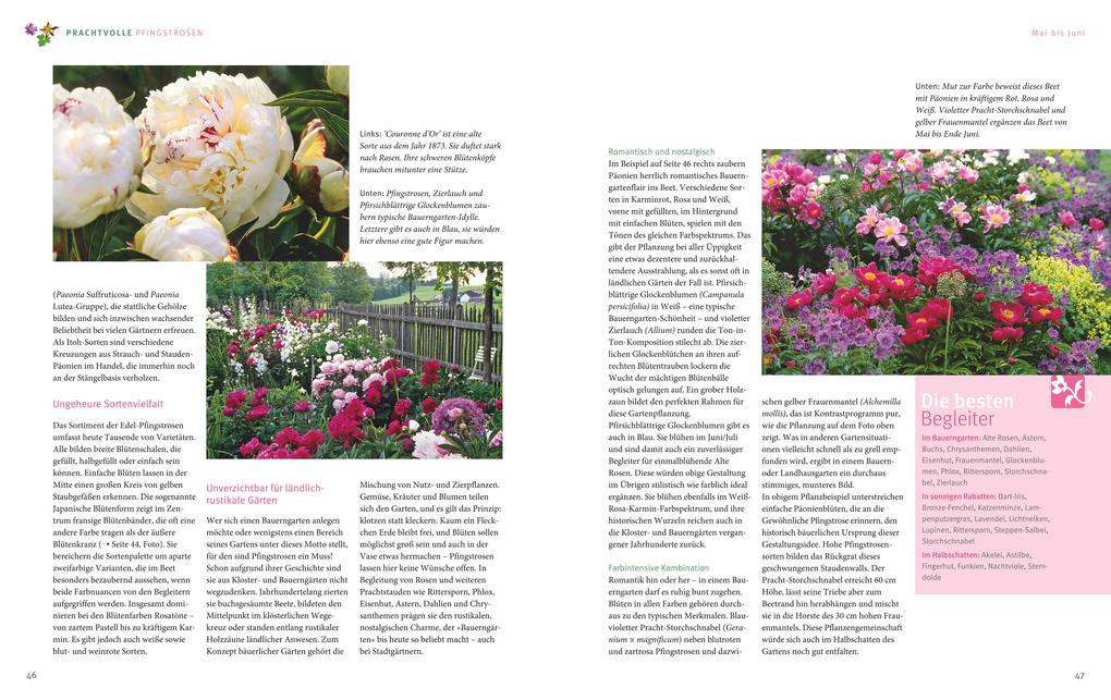 Weitere Ansicht: Ganzjährig attraktive Beete mit Blatt und Blüte | Ute Bauer, Wolfgang Hensel