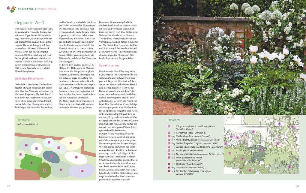 Weitere Ansicht: Ganzjährig attraktive Beete mit Blatt und Blüte | Ute Bauer, Wolfgang Hensel