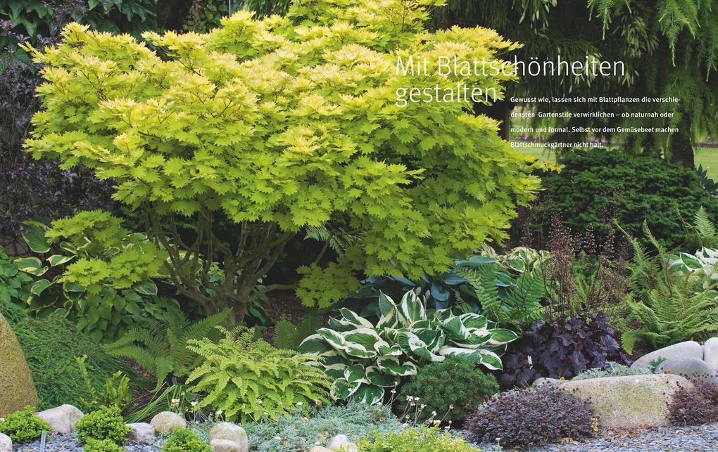 Weitere Ansicht: Ganzjährig attraktive Beete mit Blatt und Blüte | Ute Bauer, Wolfgang Hensel