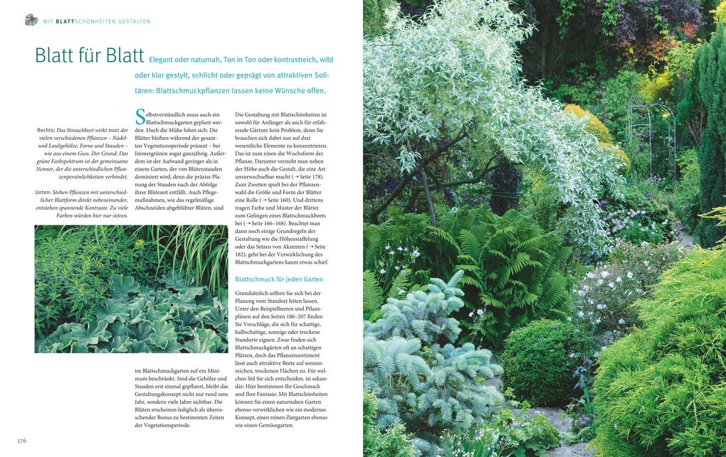 Weitere Ansicht: Ganzjährig attraktive Beete mit Blatt und Blüte | Ute Bauer, Wolfgang Hensel