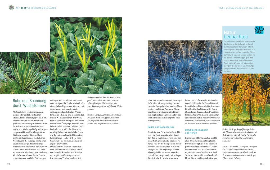 Weitere Ansicht: Ganzjährig attraktive Beete mit Blatt und Blüte | Ute Bauer, Wolfgang Hensel