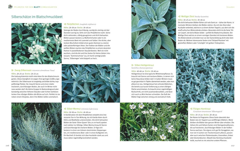 Weitere Ansicht: Ganzjährig attraktive Beete mit Blatt und Blüte | Ute Bauer, Wolfgang Hensel