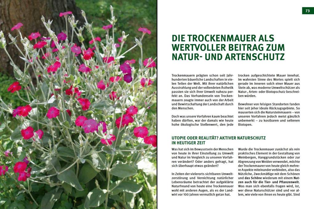 Weitere Ansicht: Trockenmauern | Sofie Meys