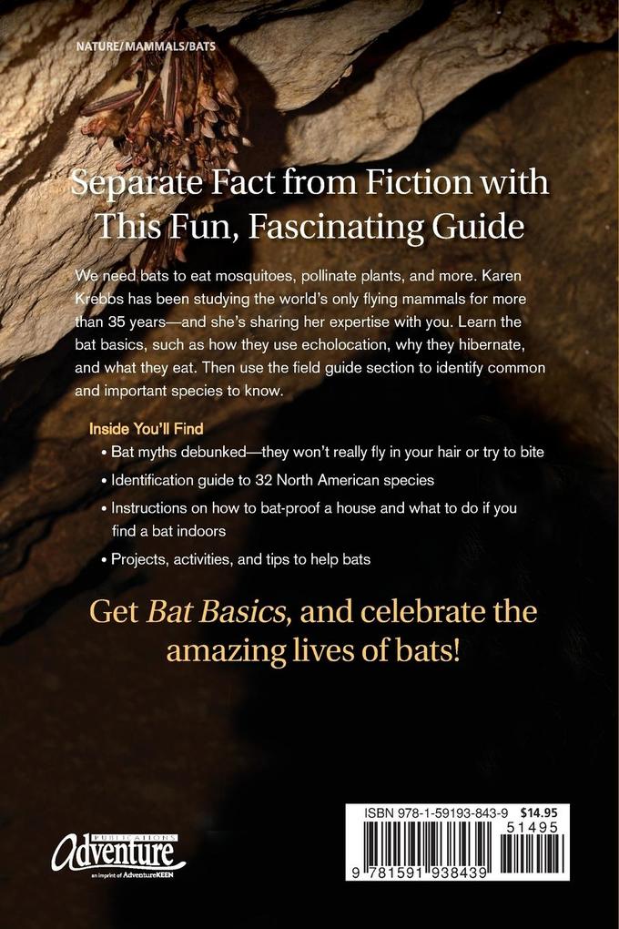 Weitere Ansicht: Bat Basics | Karen Krebbs