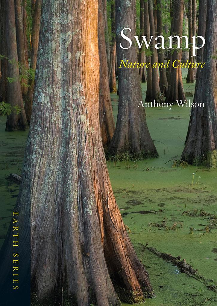 Produktbild: Swamp | Wilson Anthony Wilson