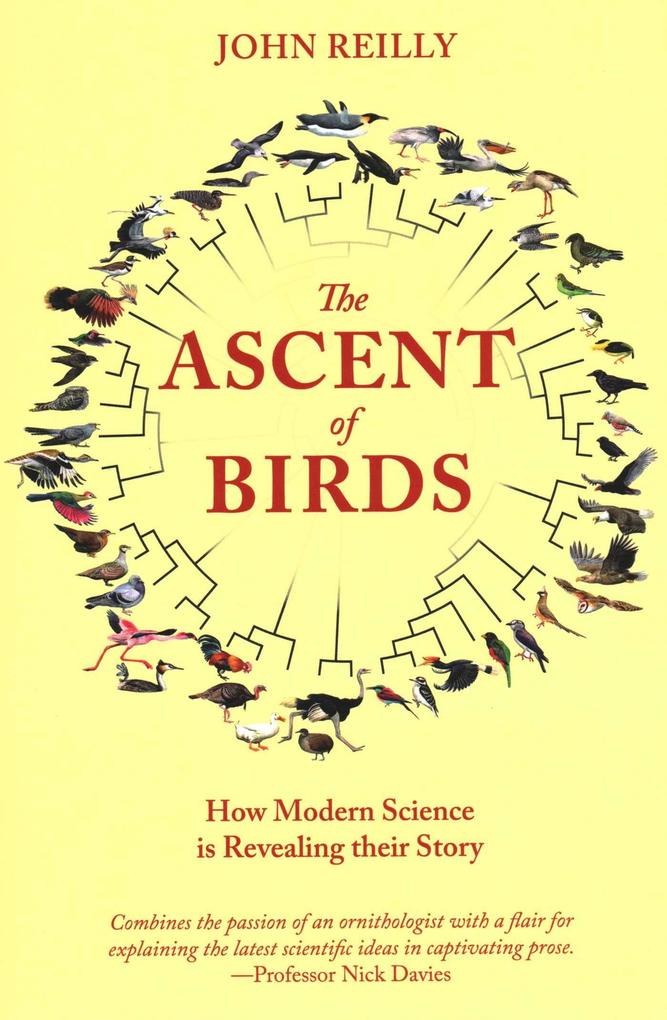 Produktbild: Ascent of Birds | John Reilly