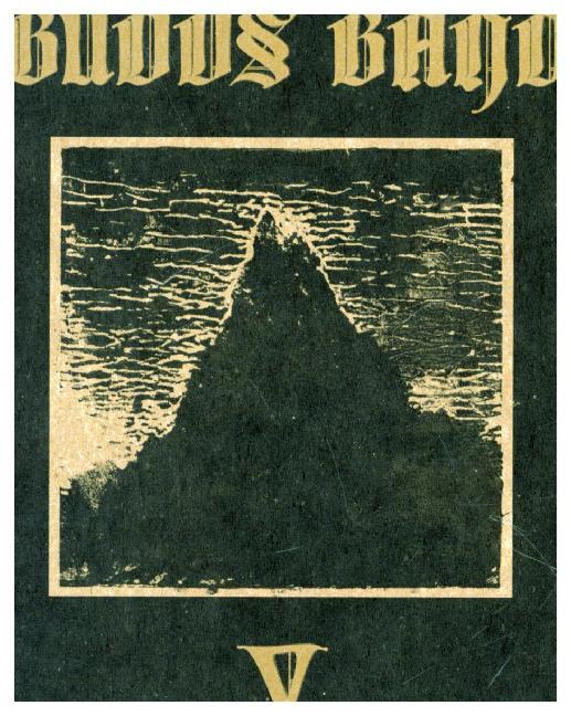 Produktbild: V | Budos Band