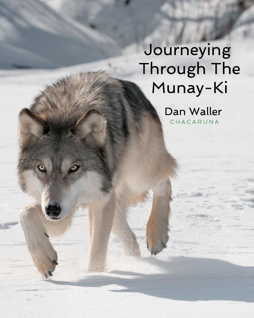 Produktbild: Journeying Through The Munay-Ki | Dan Waller