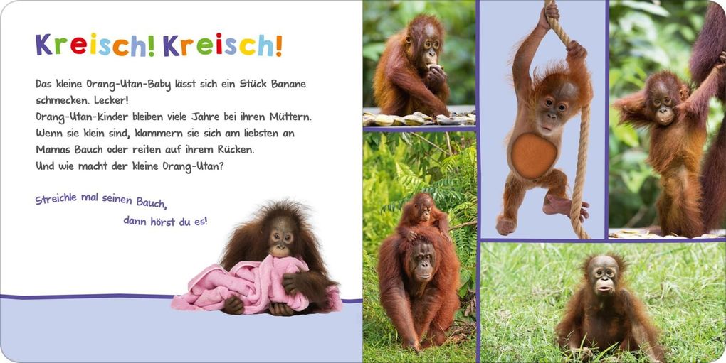 Weitere Ansicht: Hör mal rein, wer kann das sein? - Tierbabys