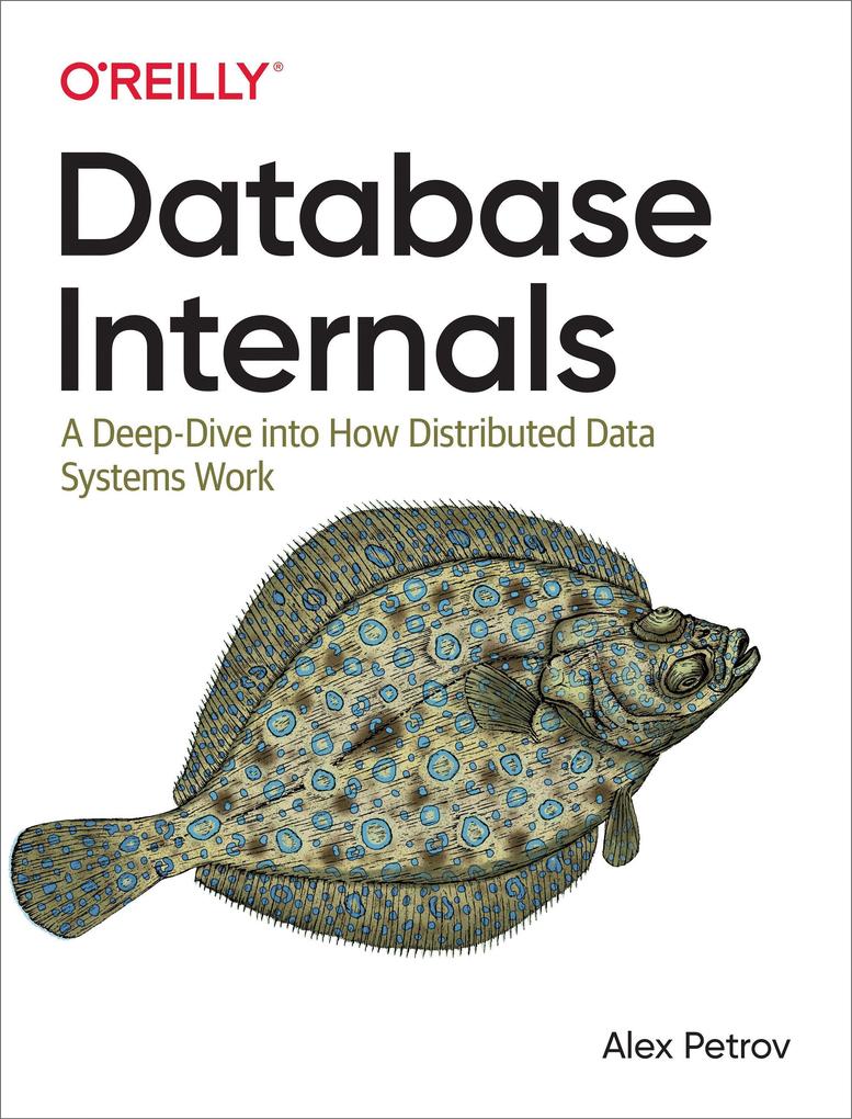 Produktbild: Database Internals | Alex Petrov