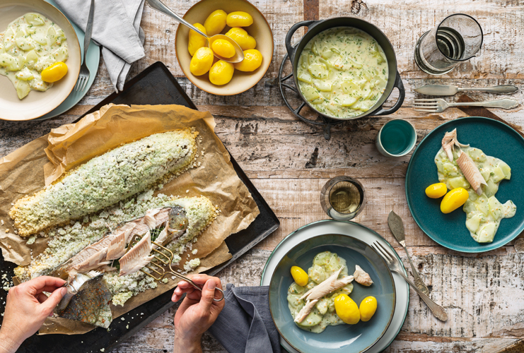 Weitere Ansicht: kochen. | Stevan Paul