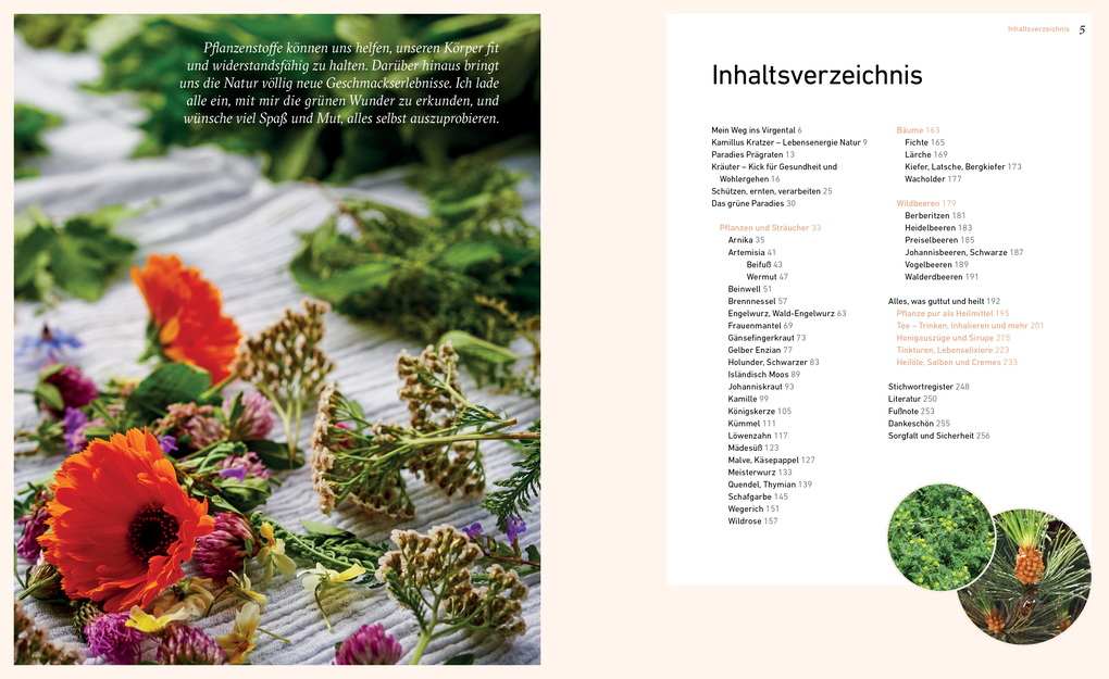 Weitere Ansicht: Dort oben sehe ich euch wachsen | Liesa Rechenburg