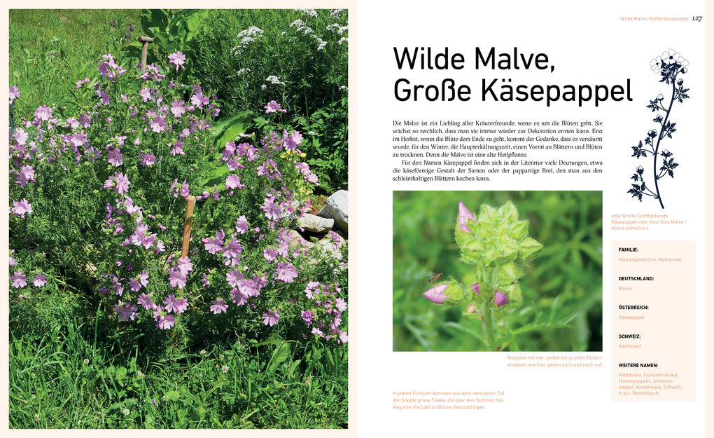 Weitere Ansicht: Dort oben sehe ich euch wachsen | Liesa Rechenburg