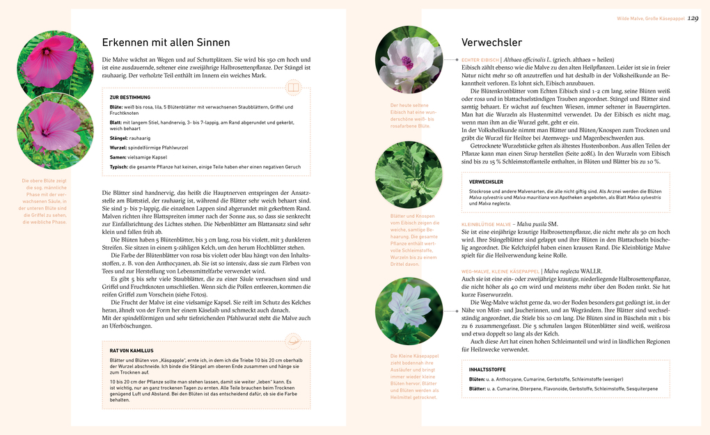 Weitere Ansicht: Dort oben sehe ich euch wachsen | Liesa Rechenburg