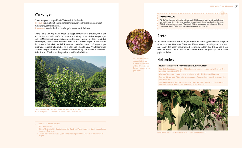 Weitere Ansicht: Dort oben sehe ich euch wachsen | Liesa Rechenburg