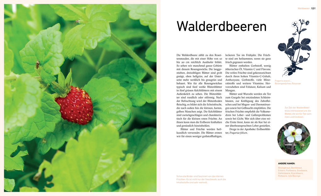 Weitere Ansicht: Dort oben sehe ich euch wachsen | Liesa Rechenburg