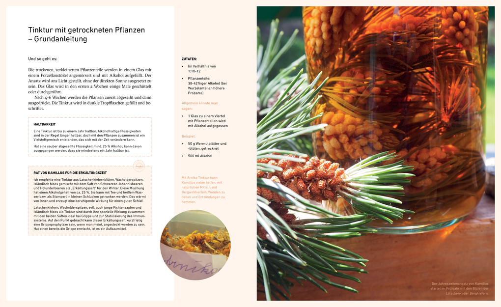 Weitere Ansicht: Dort oben sehe ich euch wachsen | Liesa Rechenburg