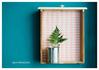 Weitere Ansicht: Einfach so - Postkartenbuch | Stephanie Brall