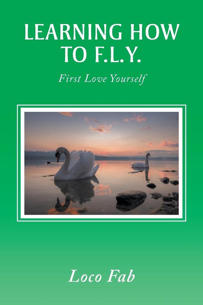 Produktbild: Learning How to F.L.Y. | Loco Fab