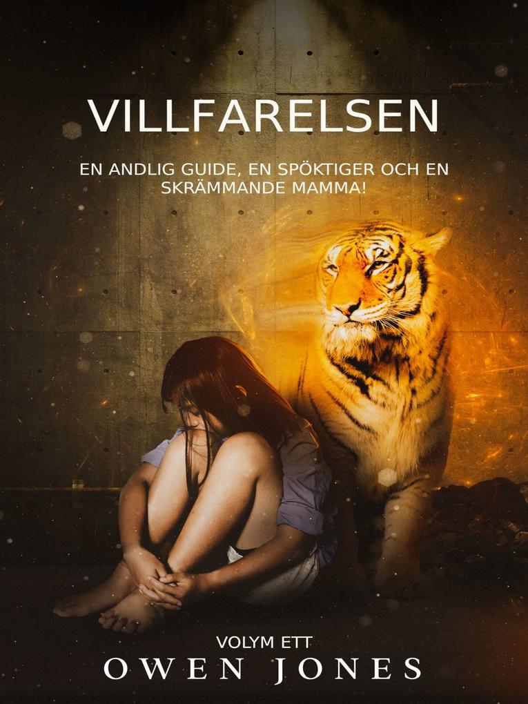 Produktbild: Villfarelsen | Owen Jones