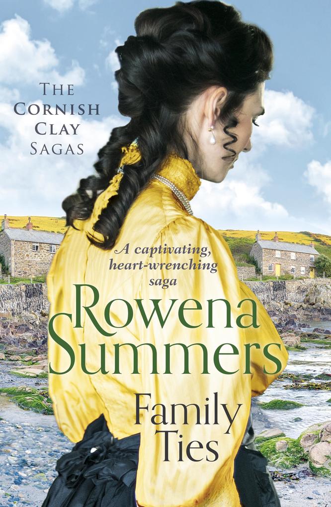 Produktbild: Family Ties | Rowena Summers
