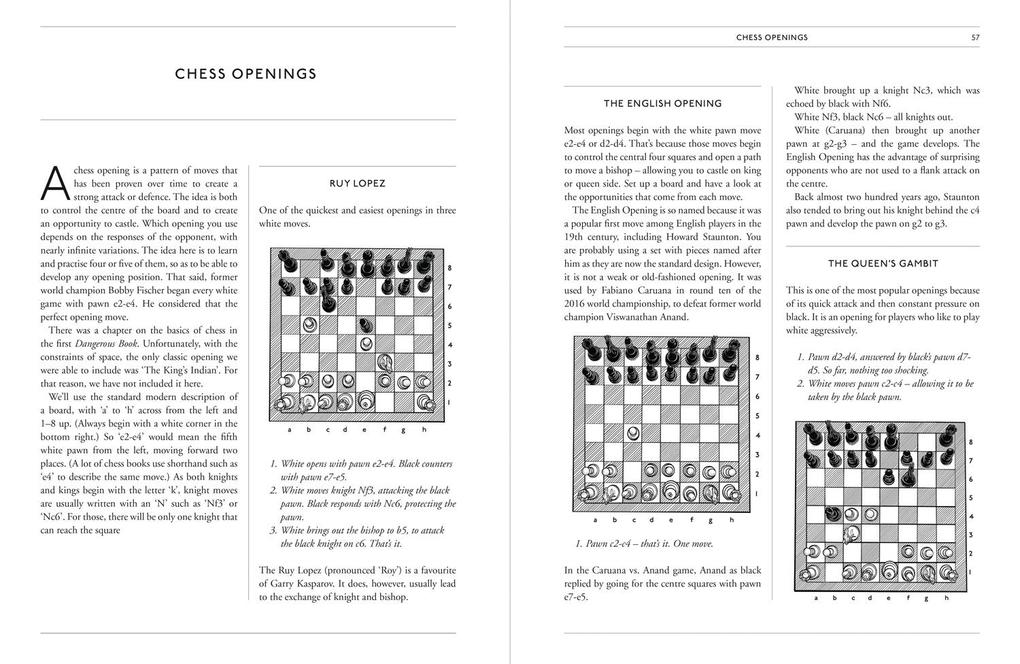 Weitere Ansicht: The Double Dangerous Book for Boys | Conn Iggulden