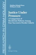 Justice Under Pressure: A Comparison of Recidivism Patterns Among Four Successive Parolee Cohorts