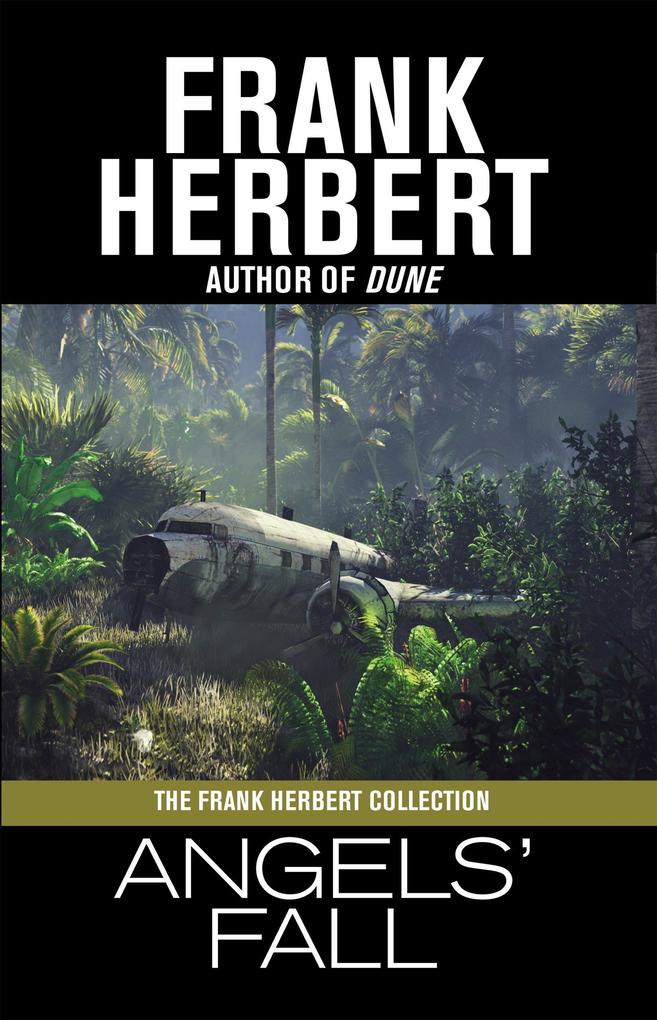Produktbild: Angels' Fall | Frank Herbert