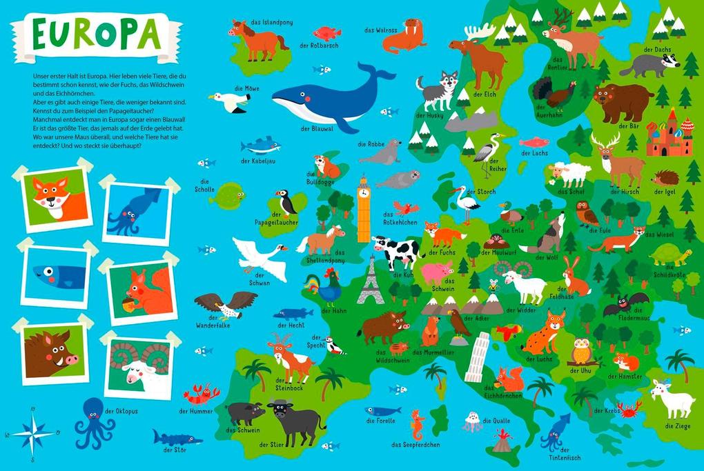 Weitere Ansicht: Mein kunterbunter Tieratlas | Nastja Holtfreter