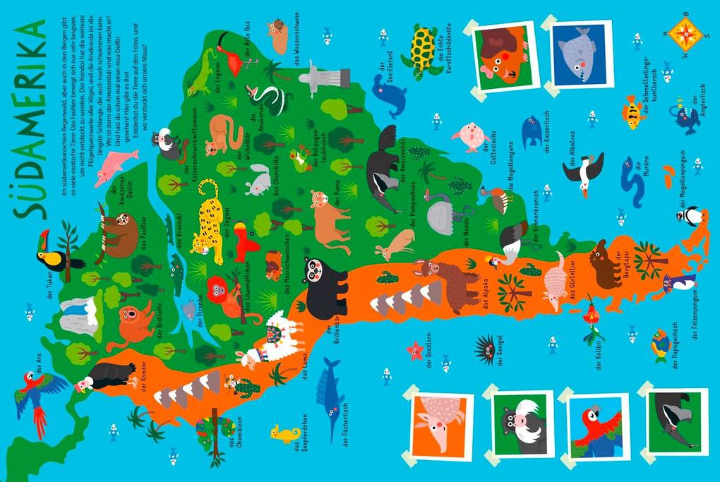 Weitere Ansicht: Mein kunterbunter Tieratlas | Nastja Holtfreter
