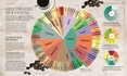 Weitere Ansicht: Das Kaffee-Buch | Anette Moldvaer
