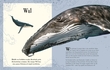 Weitere Ansicht: Wundervolle Welt der Tiere | Ben Hoare