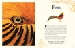 Weitere Ansicht: Wundervolle Welt der Tiere | Ben Hoare