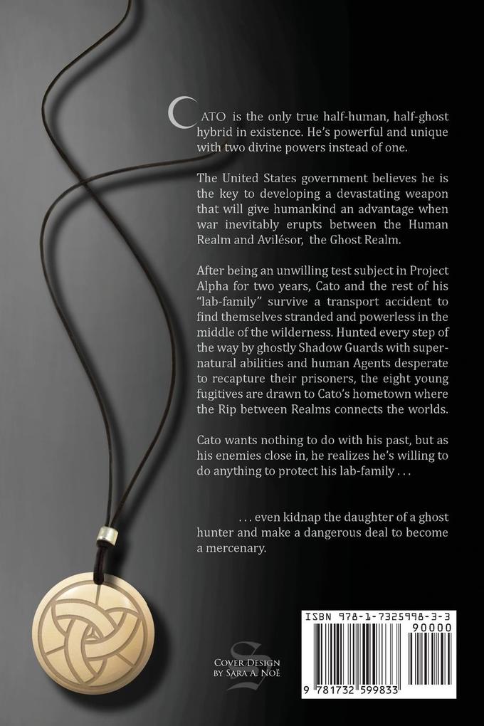 Weitere Ansicht: A Fallen Hero | Sara A. Noë