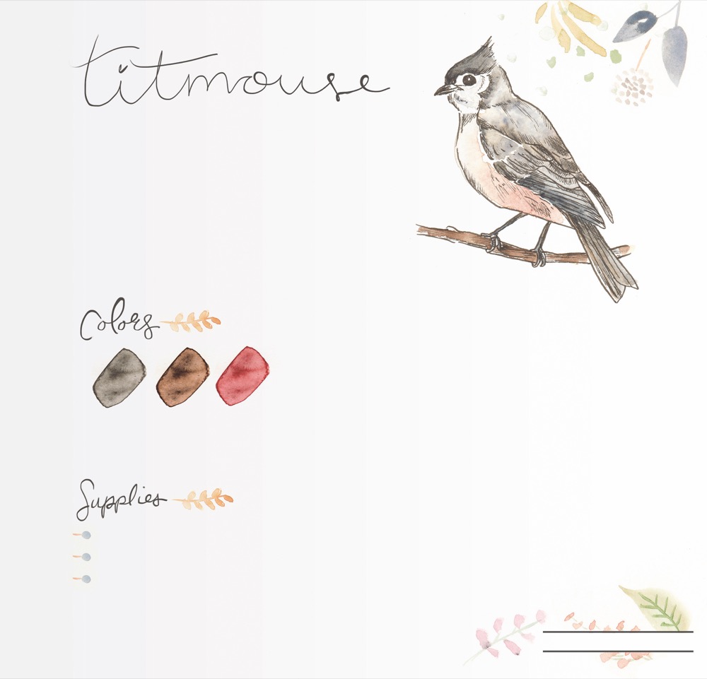 Weitere Ansicht: Das große Aquarell-Praxisbuch. Waldtiere | Dana Fox