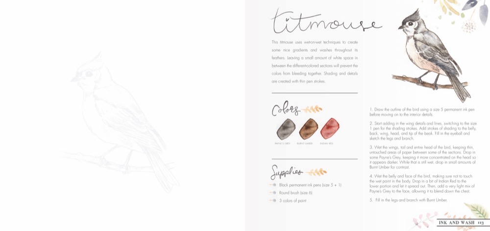 Weitere Ansicht: Das große Aquarell-Praxisbuch. Waldtiere | Dana Fox