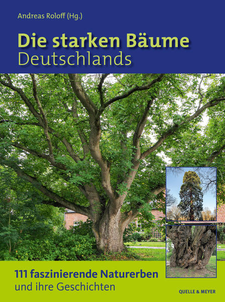 Produktbild: Die starken Bäume Deutschlands