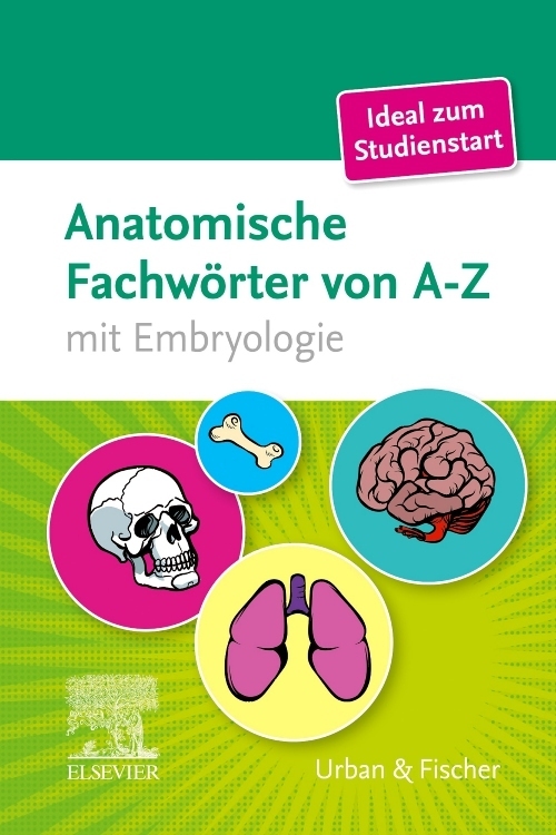 Produktbild: Anatomische Fachwörter von A-Z